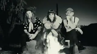 Birds and Arrows - Animals In Motion [Official Video]