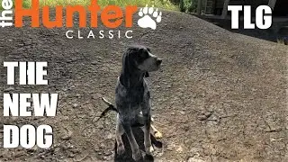 theHunter Classic The new dog