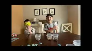 Candy taste test chocolates 