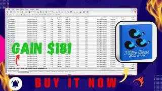 Three Little Birds MT4 EA | Multi-Asset Swing & Trend Robot