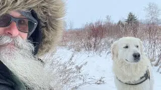 Sunday Story Time with Bomber; Blockparty Blizzard Farm Report