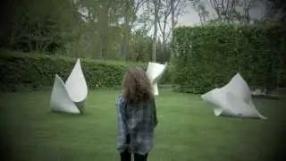 Phaneron