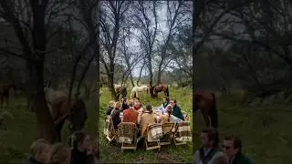 The Andalusian Dream 🇪🇸 Black saddle travel
