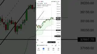 BNF (08/08/2022) UPDATE