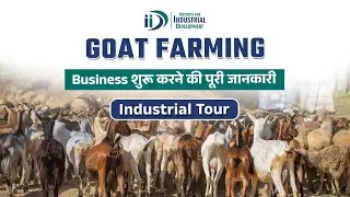 How to Start Goat Farming Business | Industrial Tour