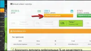 Gee Coops Отзыв Первое Впечатление