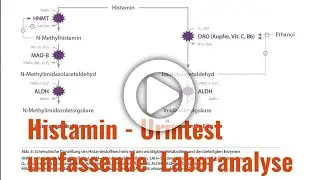Histamin-Urintest - Labortest zur Bestimmung von Histamin und Histaminabauprodukten im Urin