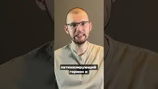 ЛГ и ФСГ: анализы, которые объясняют проблемы с тестостероном