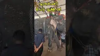 എരുമേലി പേട്ടതുള്ളൽ 2026 Ayyappa Temple Erumeli