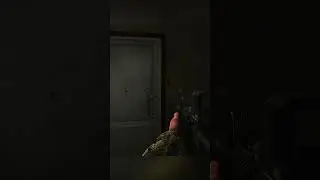 The Magic Door - Escape From Tarkov