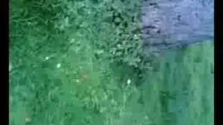 simulated coursing