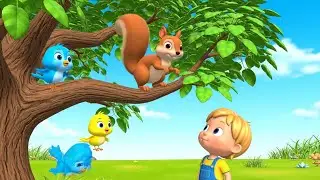 Little Squirrel Collects the Golden Nuts 🐿️🥜 | 3D Animated Nursery Rhyme for Kids