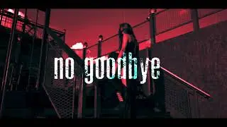 Paul Kalkbrenner - no goodbye ( Milani Deeper Rework 2k21 )