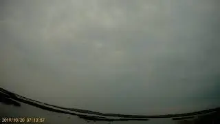 Осень 2019 Ларес Гибрид