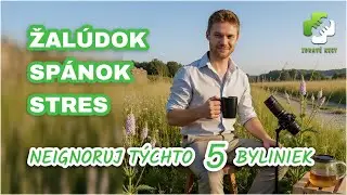 5 dostupných a liečivých bylín do čaju, ktoré nikto nepropaguje 🤷