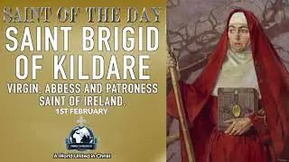 1st February &ndash; Saint of the Day: St Brigid of Kildare, Virgin & Abbess Beloved Saint of Irish Faith