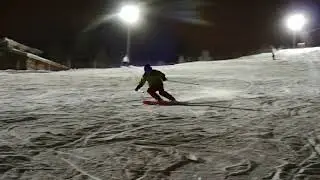 Salomon Stance 102 183\23