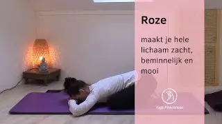 YIN - Roze