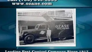 Pest Control in Toms River NJ - Ozane Termite and Pest Control