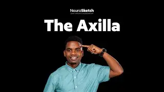 Axilla Region Explained Step-by-Step | Anatomy Made Simple