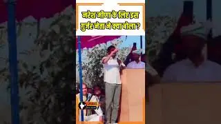 नरेश मीणा के लिए इस गुर्जर नेता ने क्या बोला ? #NareshMeena, #GurjarLeader, #RajasthanPolitics,