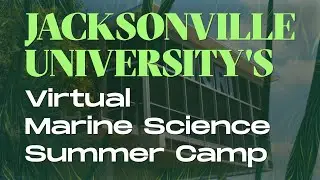 JU's Virtual Marine Science Summer Camp Day 4 @ 11am : Lindsay Laughner and Fishing with Science