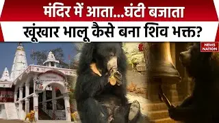 Chhattisgarh Kanker में अनोखा नजारा! मंदिर में जाकर घंटा बजाते नज़र आया भालू, Viral हुआ Video