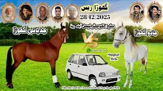 Jazbati Vs Jadu Horse Race 02 January 2026 || Tanga Race || #horse #horseriding #trending