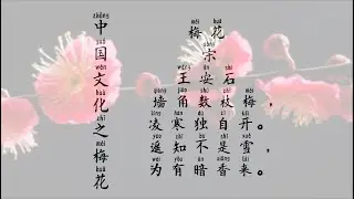 #1 Chinese culture II The Plum Blossom II 中国文化之梅花