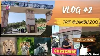 JUMBO ZOO  II Roaming with Wildlife: Zoo Adventures
