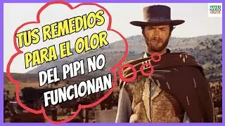 🔴 MEJOR DETERGENTE PARA LIMPIAR ORINA DE PERRO Y GATO 🔴