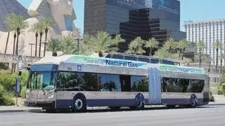 ABQ Ride shops for train-like buses