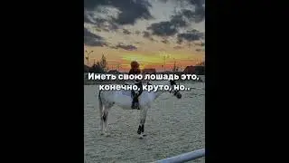 #pony #horseriding #jumping #horseplay #equestrianjumping #ponypower #horsejumping #ponylover