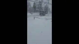 UPS Pro-Drift Driver In Snowstorm