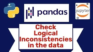 #10 Check Logical Inconsistencies in pandas dataframe