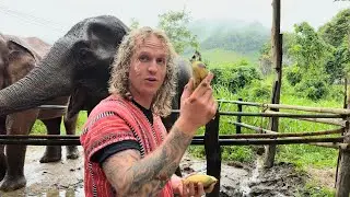 Cos in Thailand: Olifanten Medicijn Maken & Zelf Opeten 🥲