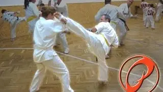 Pizsama Dojo Kyokushin Karete Club, Pápa