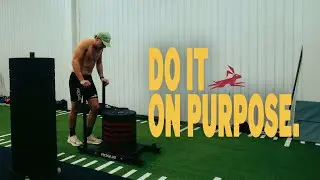 LIFE AND TRAINING WITH INTENTION - (VLOG) @AleksanderLingauer