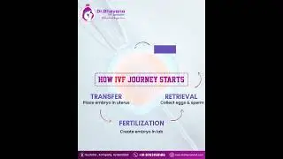 🌟 IVF is a step-by-step journey to parenthood.  From understanding your fertility to embryo transfe