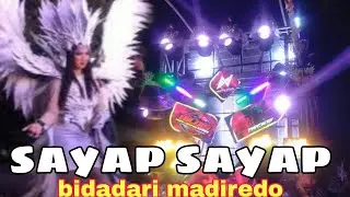 Winged princess enlivens Madiredo carnival