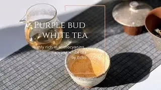 Today Chinese tea/Jian Yang Ziya white(purple bud) tea建阳 紫芽白茶
