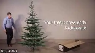 How To Assemble The Nobilis Fir Artificial Christmas Tree