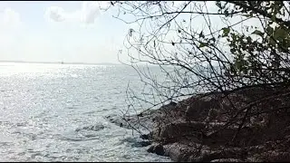 Hadup Harus Sekuat Karang Laut - Cerita Dimensoo sedang live sekarang!