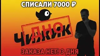 Чижик списал 7000 ₽ и исчез? Мой опыт с доставкой X5 Group