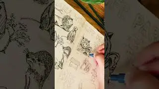 #Sketch w/ me - animals  #sketchbook #journal #travel #art #draw #drawing #zoo #animals #nz #shorts