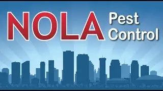 Pest Control, Bed Bug Control, Rodent Control New Orleans