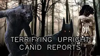 Terrifying Upright Canid Reports [Livestream 461]