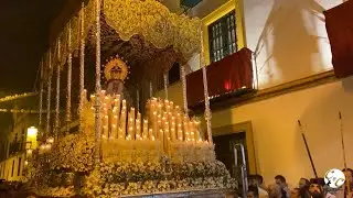 Petalá a la Virgen de Gracia y Esperanza por su calle | Salida Extraordinaria 2022