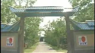HISTORIA HONGO GANODERMA Y EMPRESA DXN