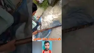 പുതിയ മീൻ പിടുത്തം #mallutraveler#fishingfreaks#shorts#mallu#malayalam#m4tech